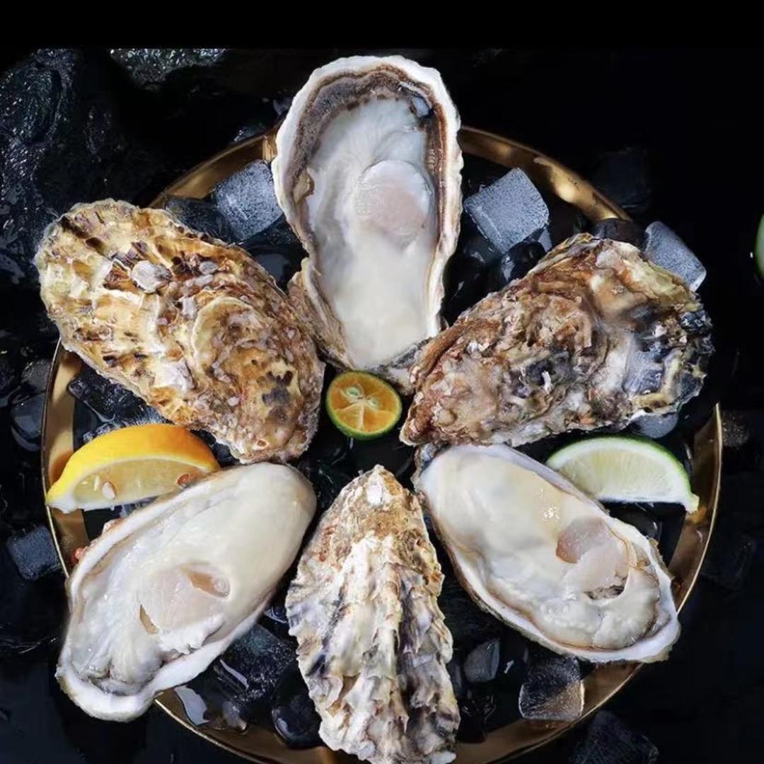 蚝牡蛎生鲜优选