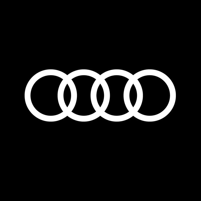 一汽奥迪-如皋通奥奥迪（江苏如皋）