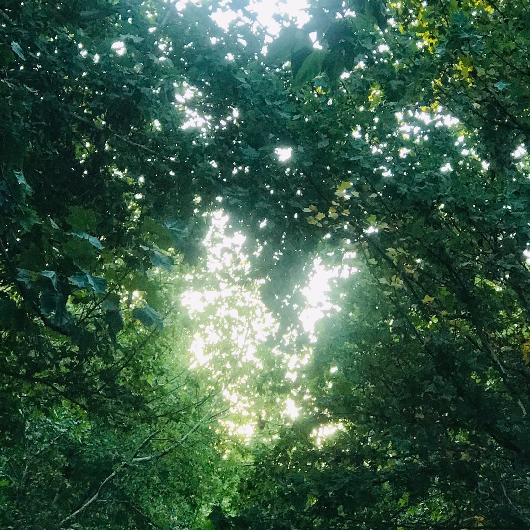 全糖🍬去冰