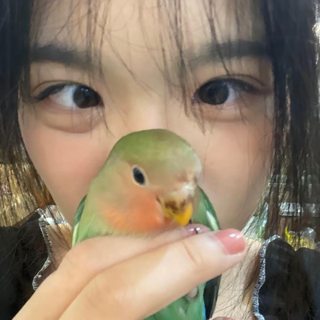 爱吃铜锣烧的77