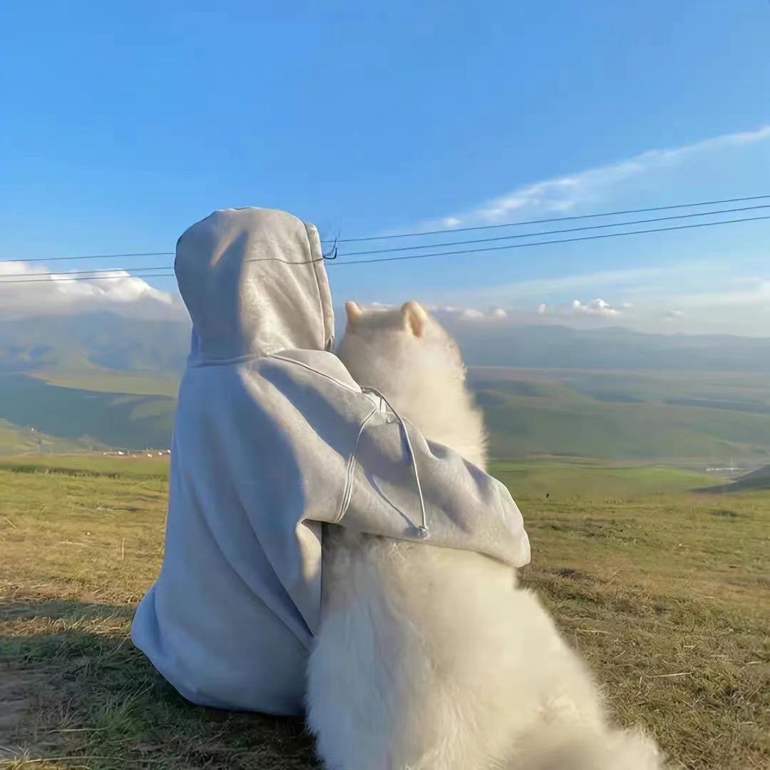 猪猪包202