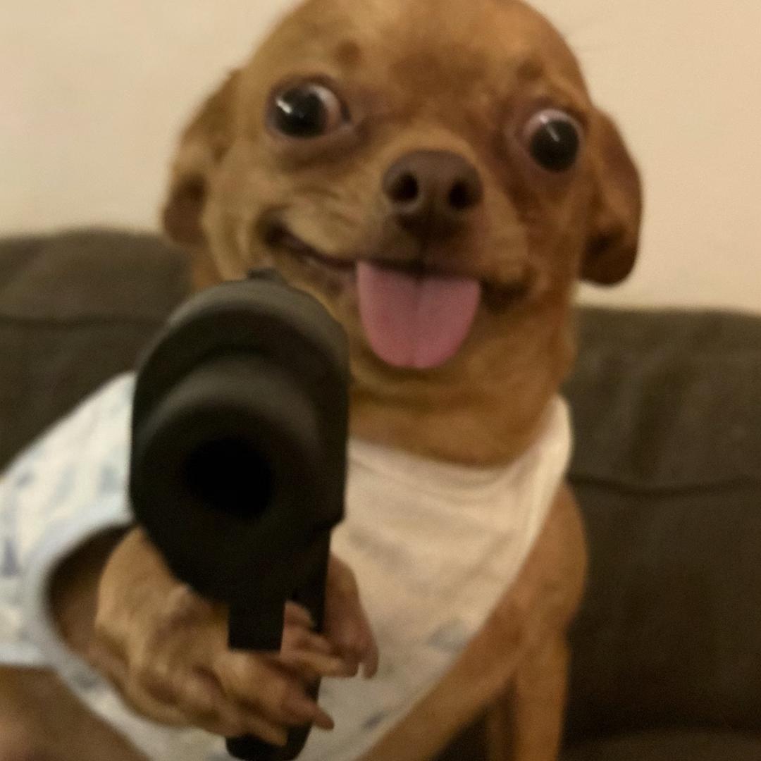 怕高一定是苦命人