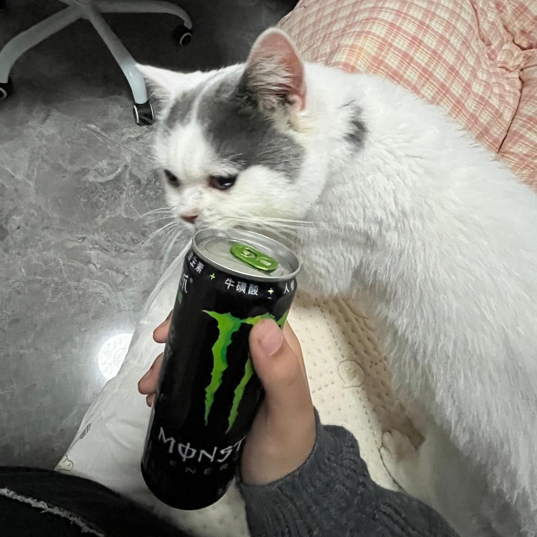 小雨大王