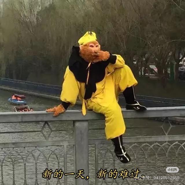 咖啡醉的巡航佬（重新出发）