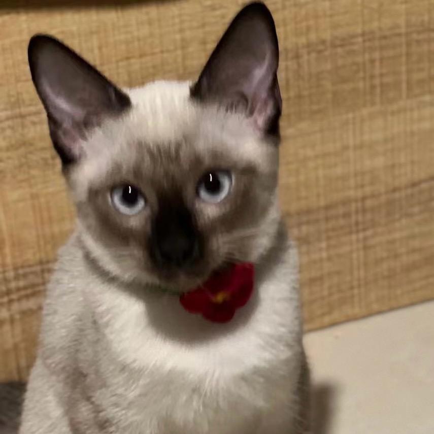 唐十八和唐啵狸啵