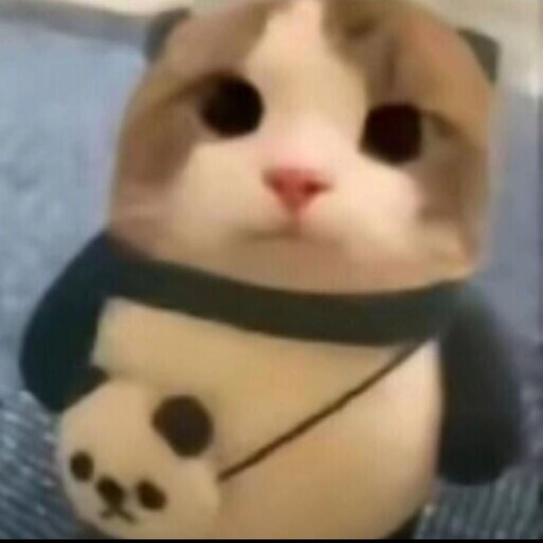 那个女人叫小美