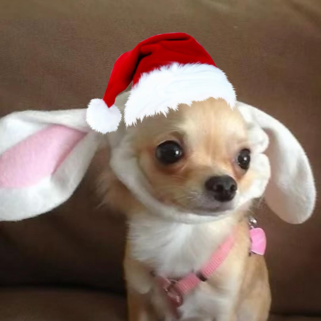 性感漂亮前凸后翘的美艳大蟑螂