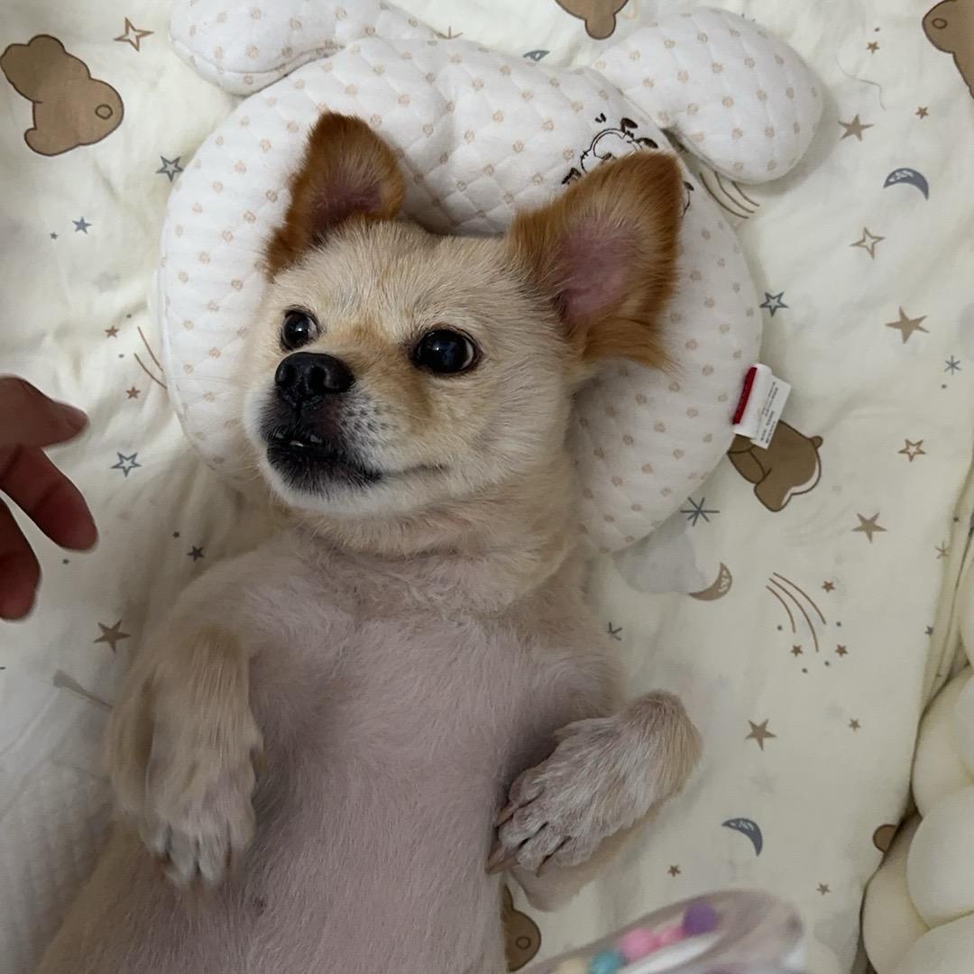 里