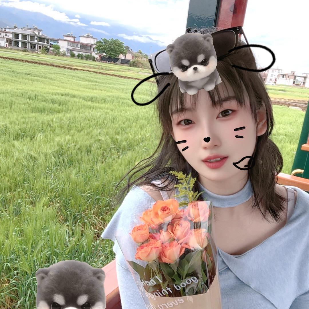 大理的小院子管家