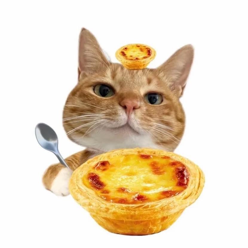 爱喝茉莉蜜茶（想见王俊凯版）