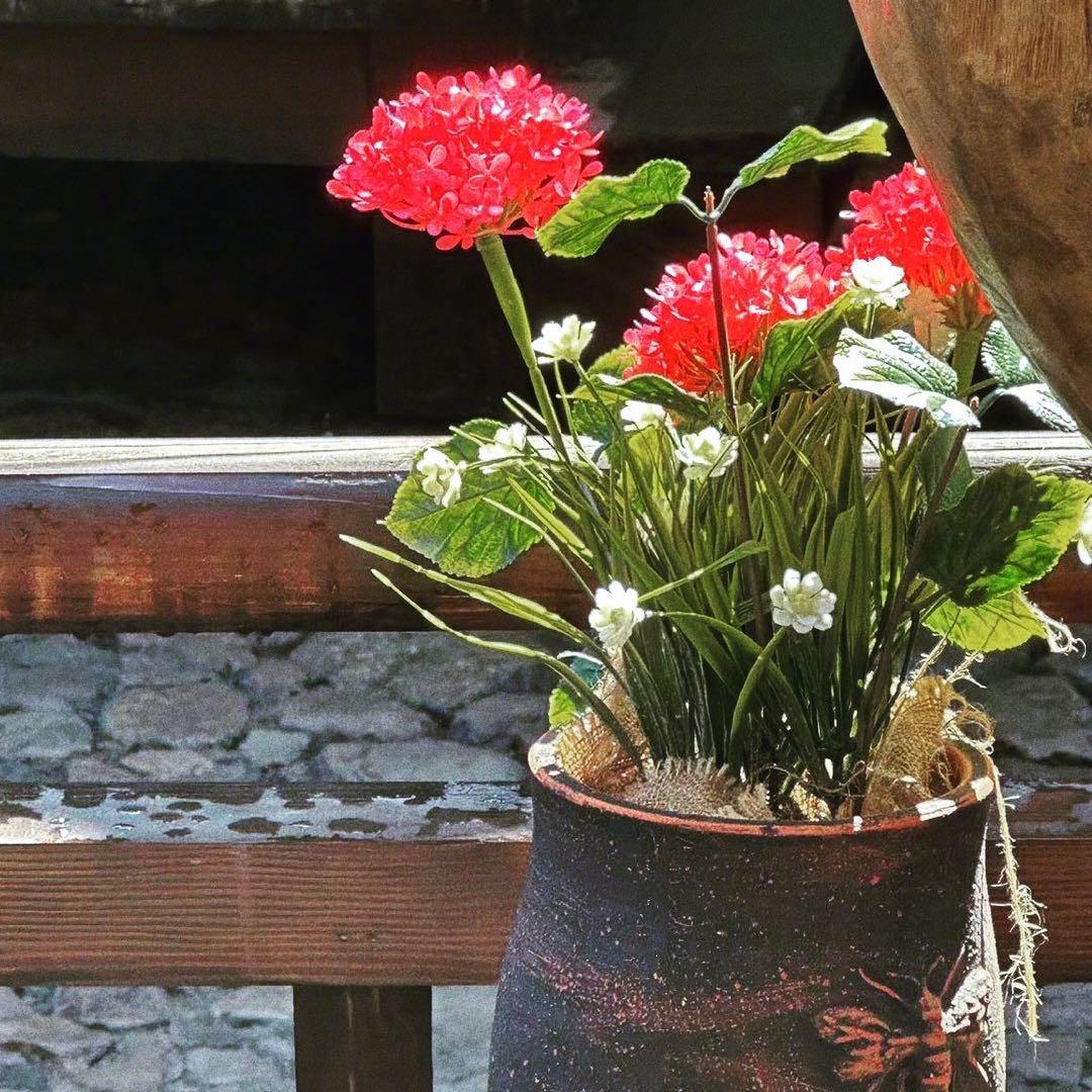 招财猫的心事（禁连赞）