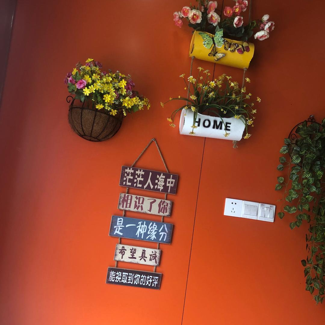 ゛皮皮ゞ              🪳