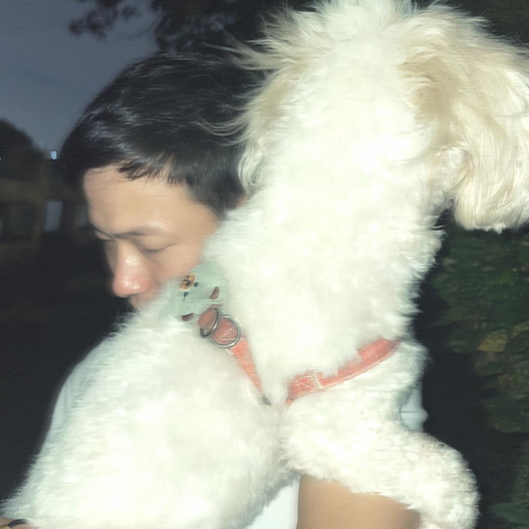 羊🐶跑