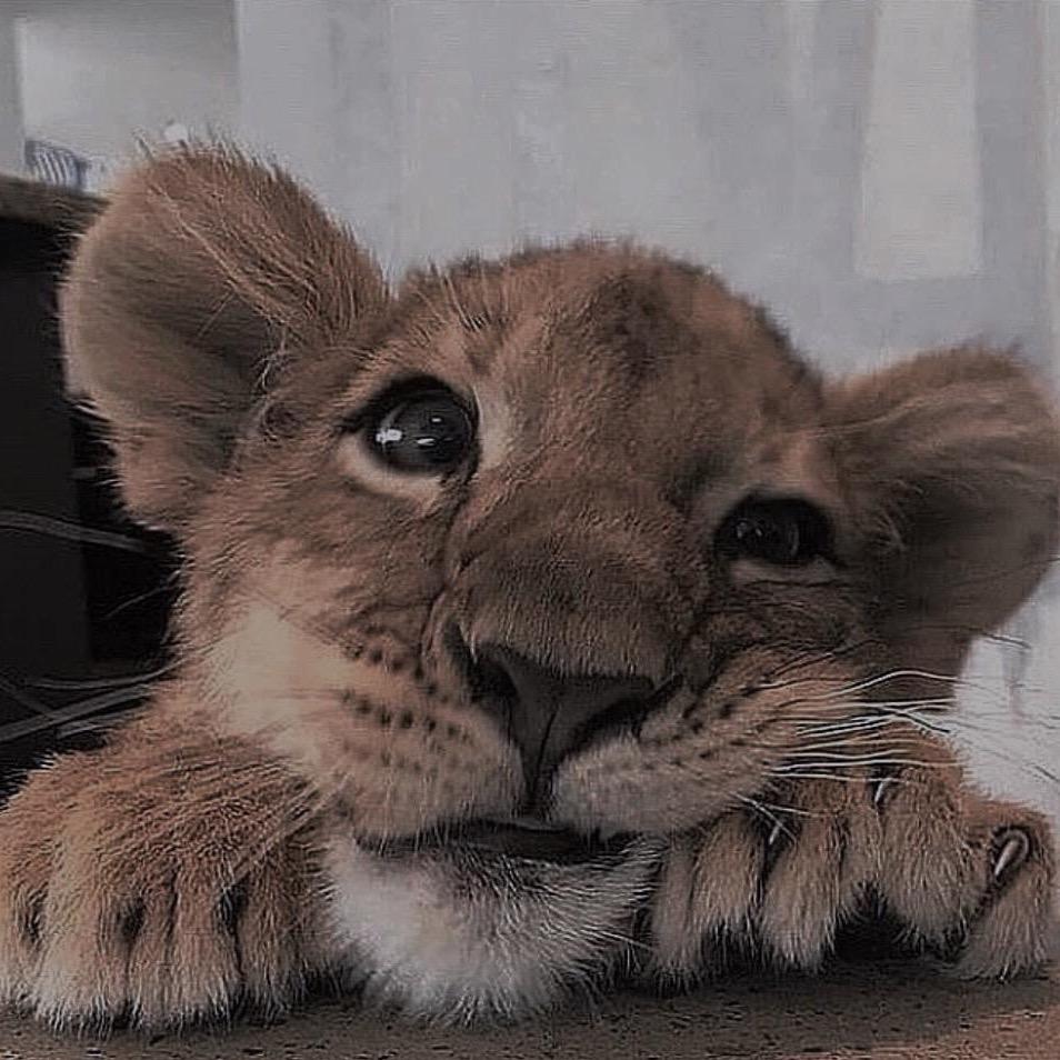 :)