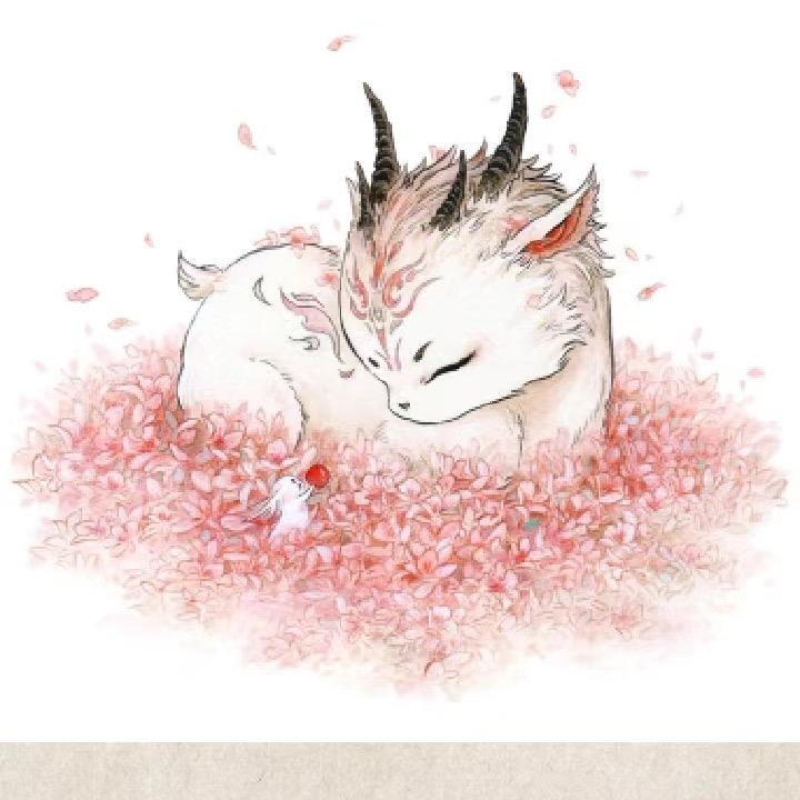 黑狸花