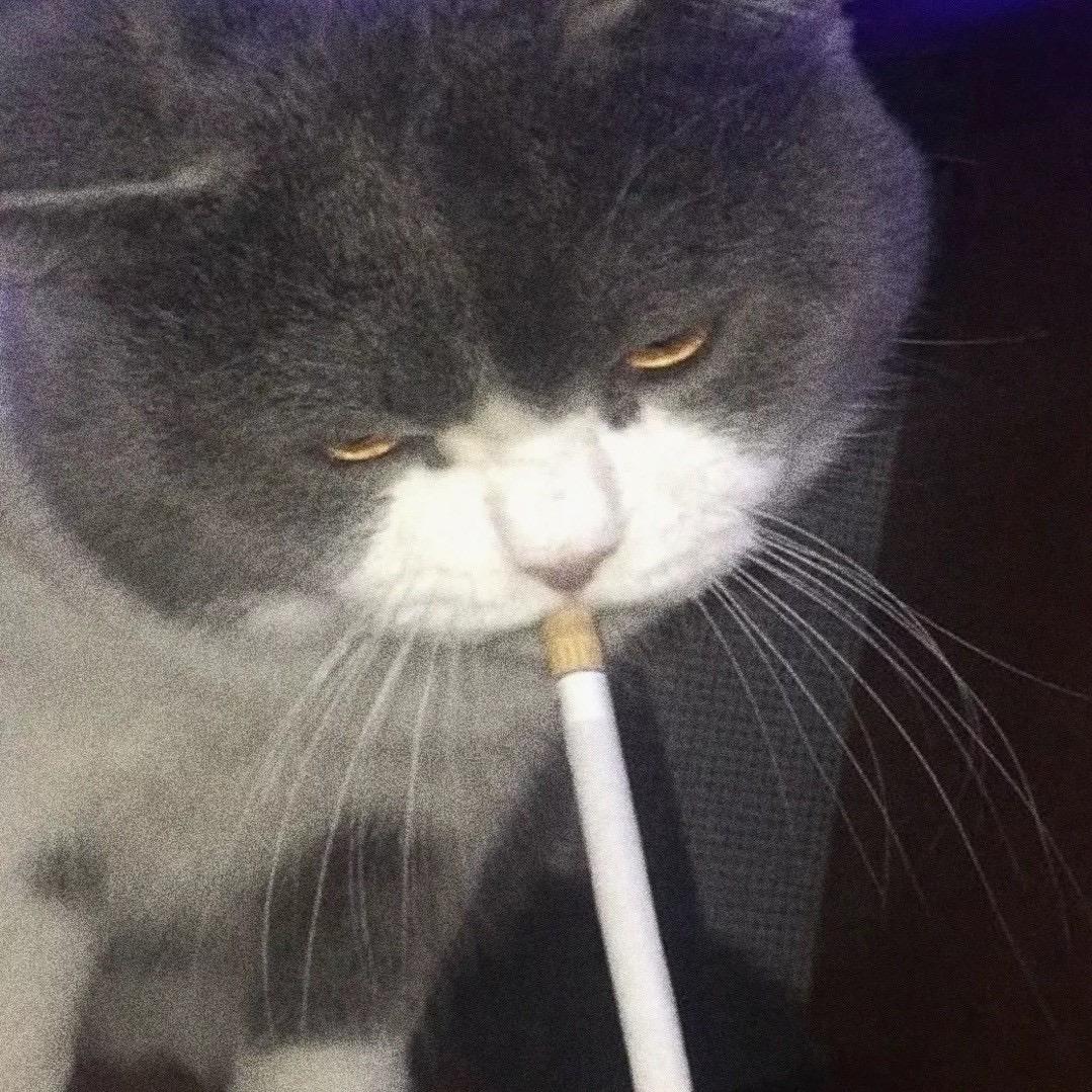 陳十一