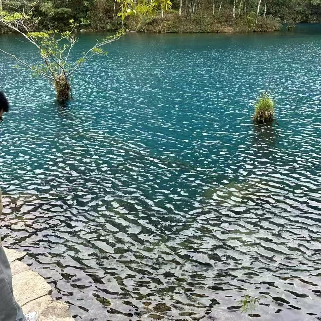 感恩