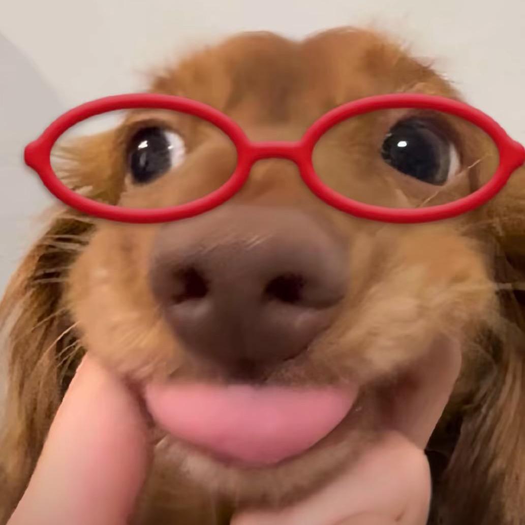 籽zi～