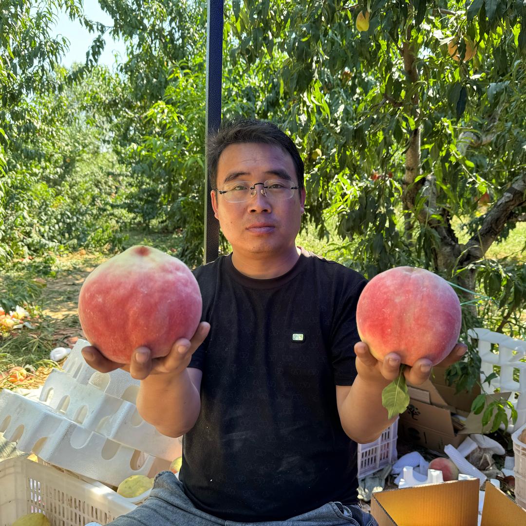 新三农老姚@抖音