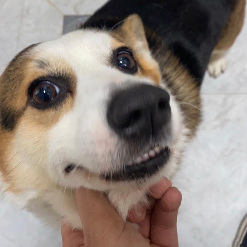 ou