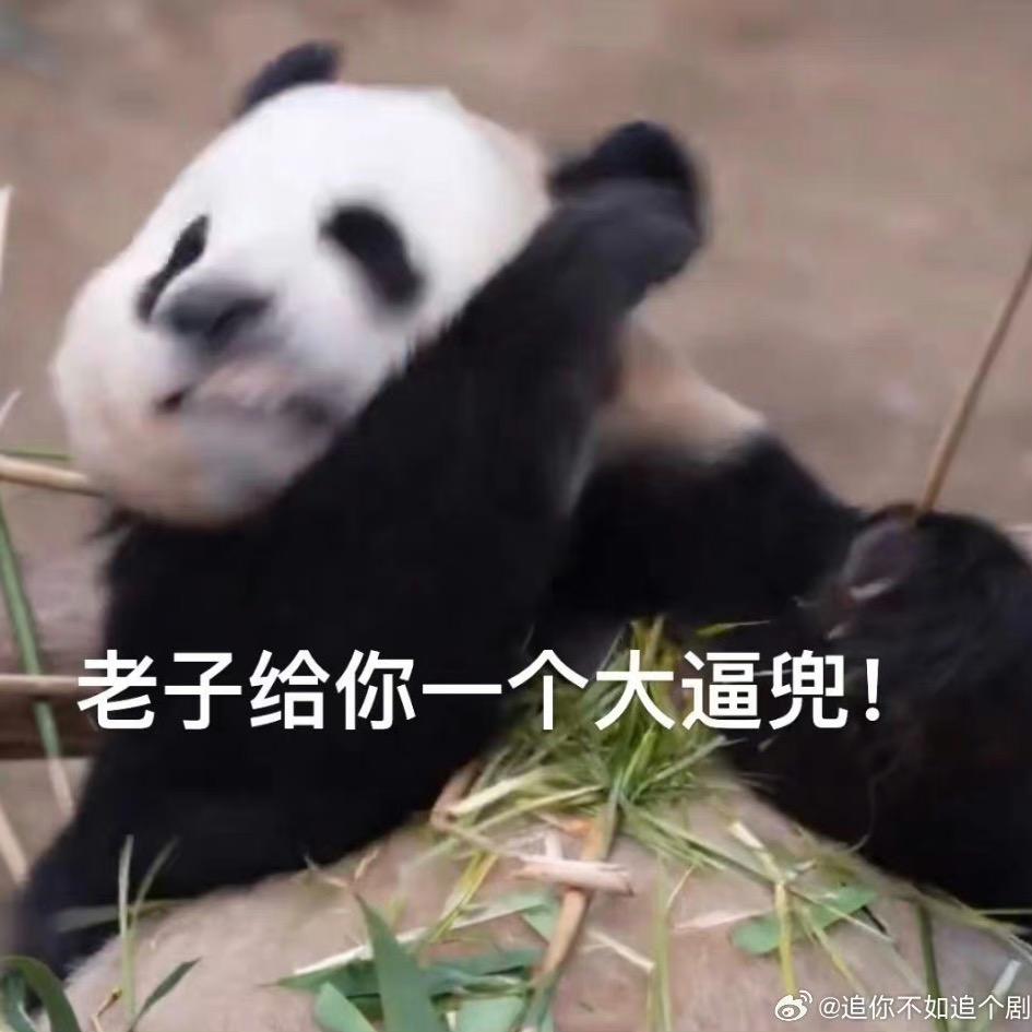 我爱五月天周杰伦