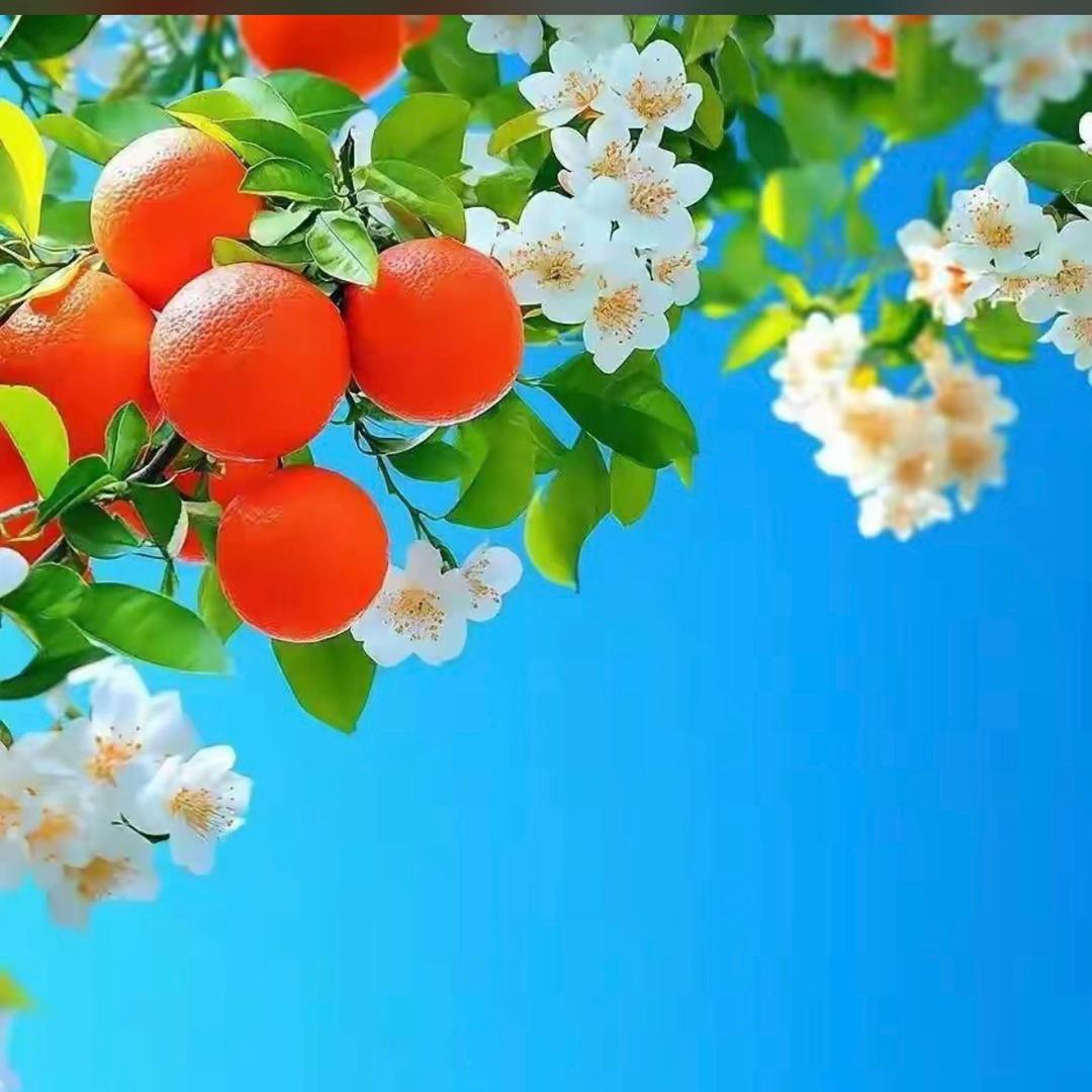 ꧔ꦿ快乐ᝰ随心