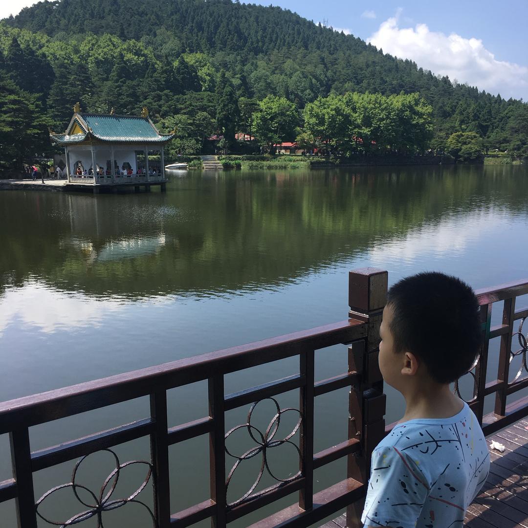 等風來or追風去