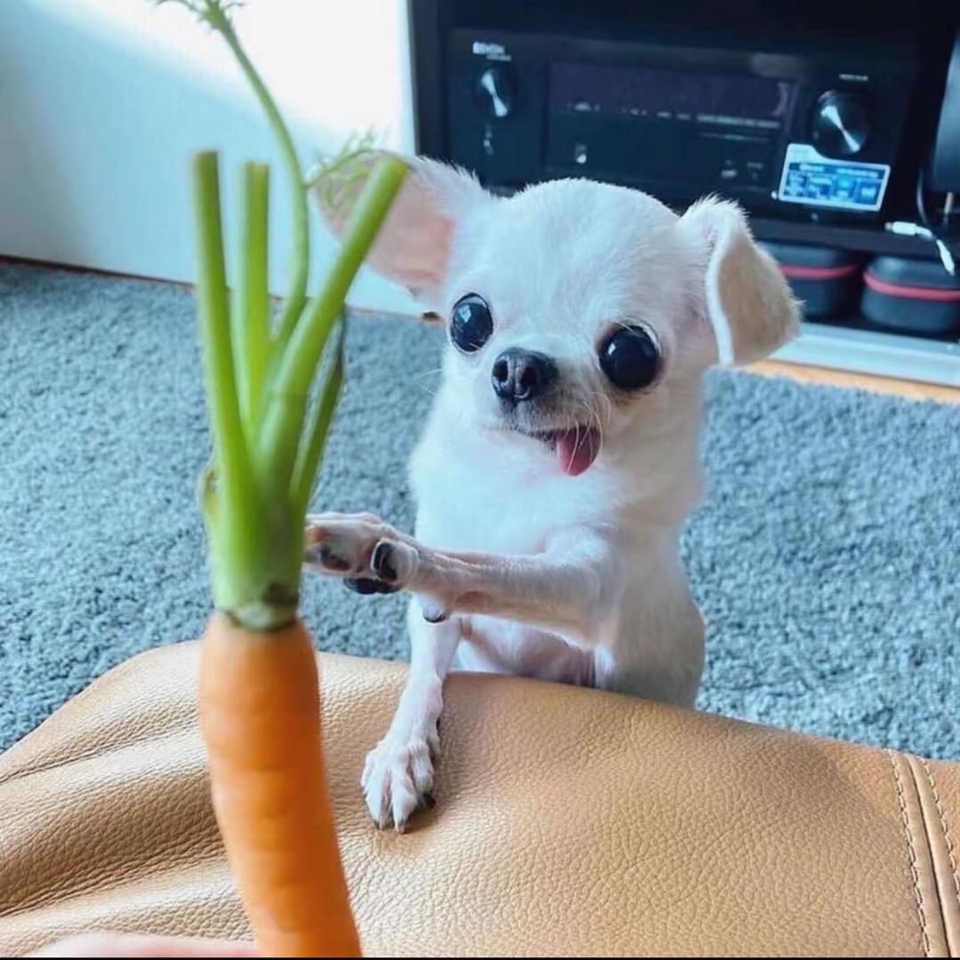 🥕