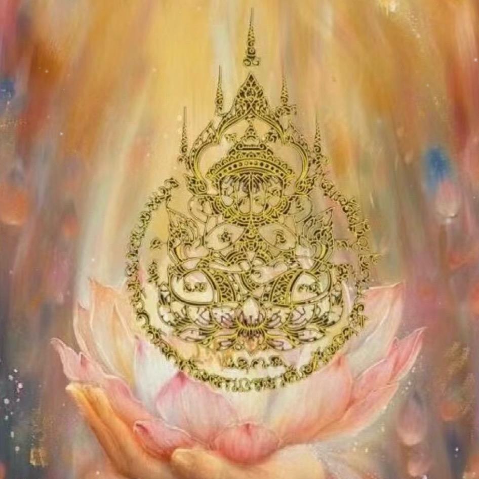 小柒（在聊城）