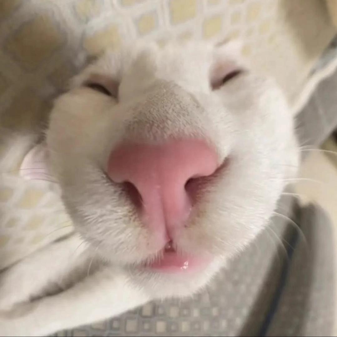 你害怕不怕头像