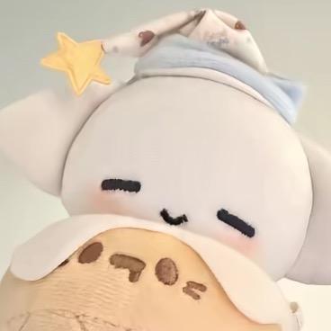 章鱼味.
