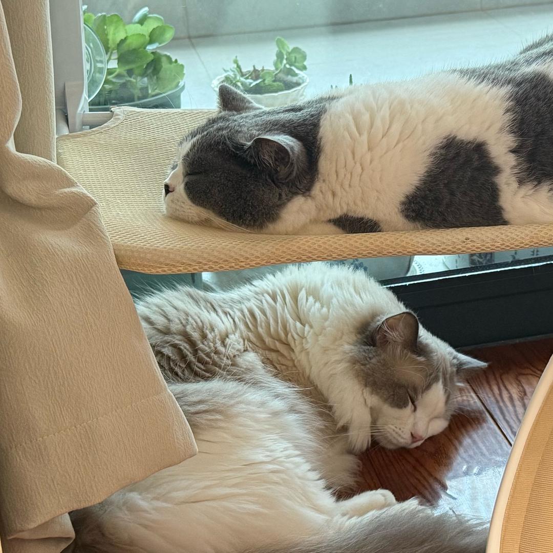 没想到还能取这么长的昵称