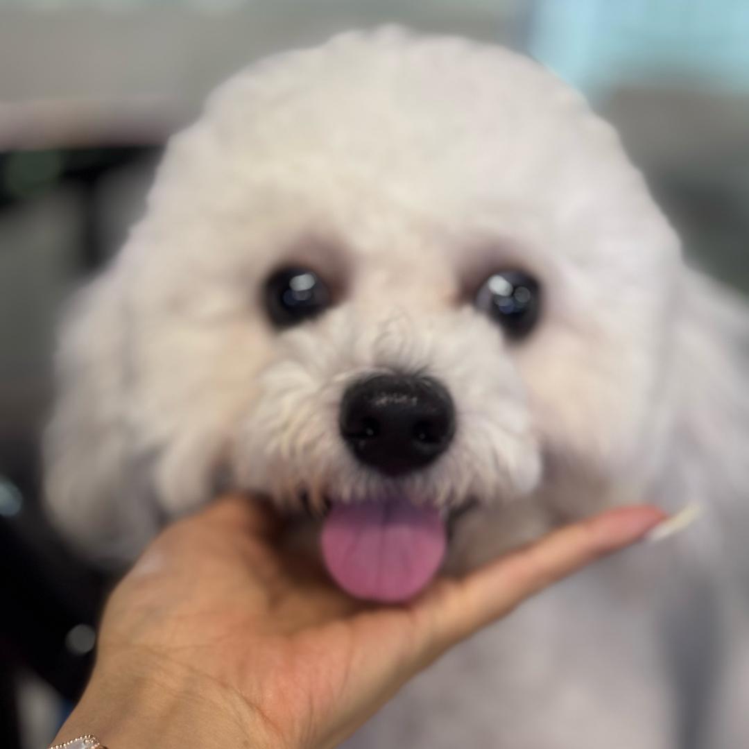 ❤️杨乐乐🍓🍓❤️