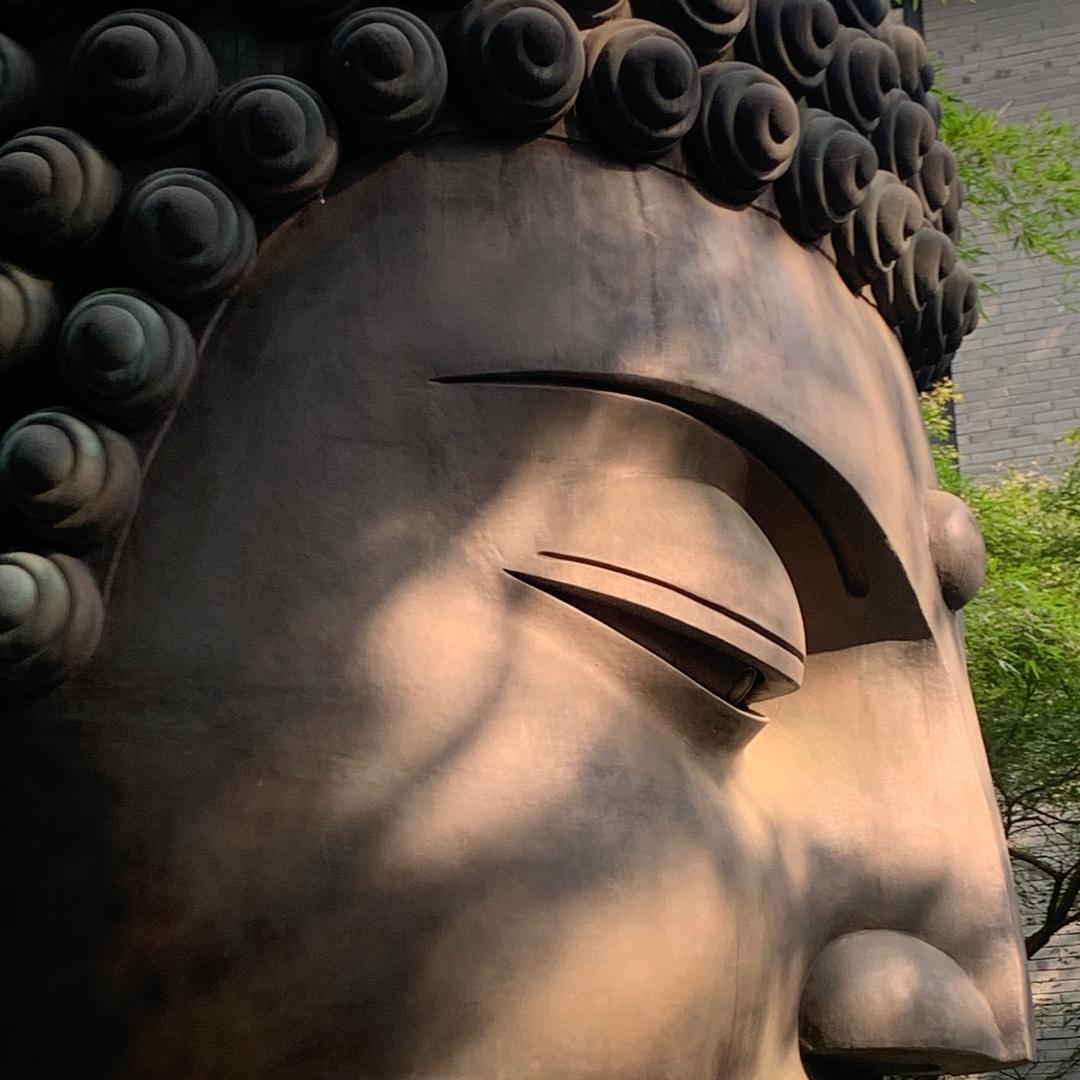 名字随便取
