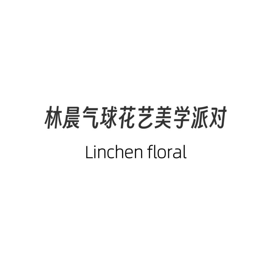 林晨气球花艺美学派对