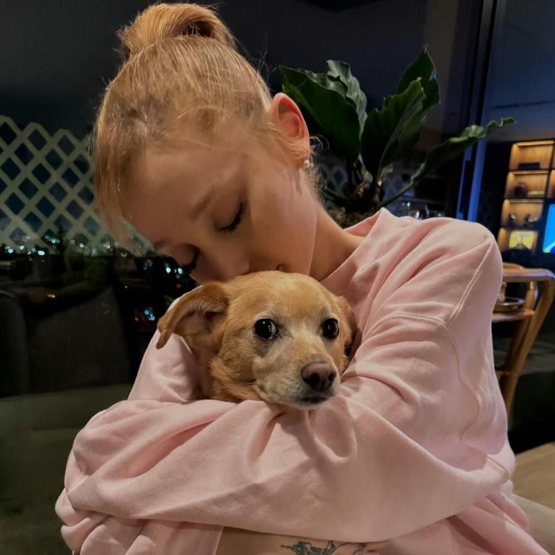 麻辣桃子（神鲸版）