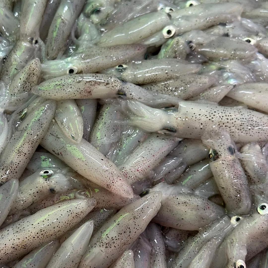 湛江天然海鲜坊