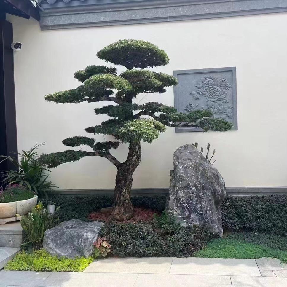 江湖园艺