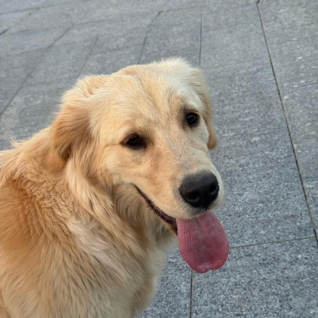 豆包🇨🇳