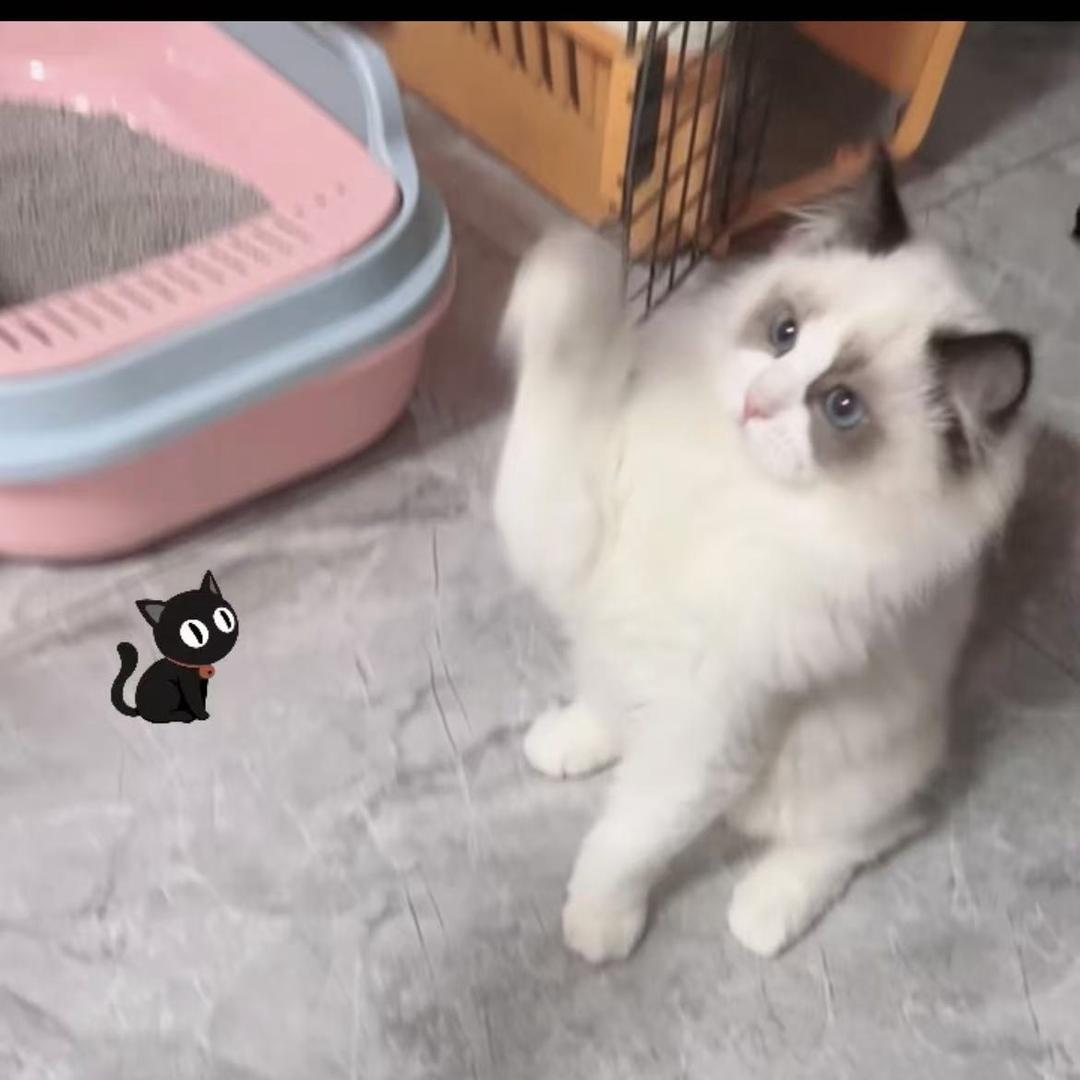 此木木呐