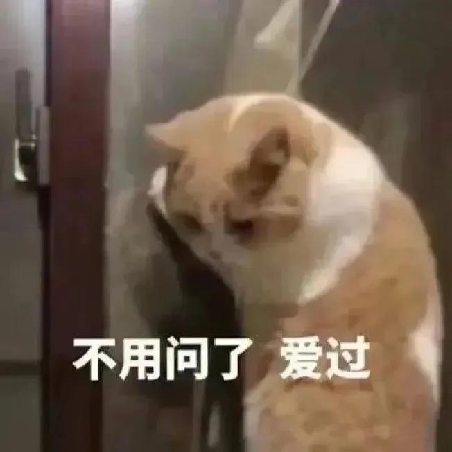 帮我捡一下红鼻子谢谢