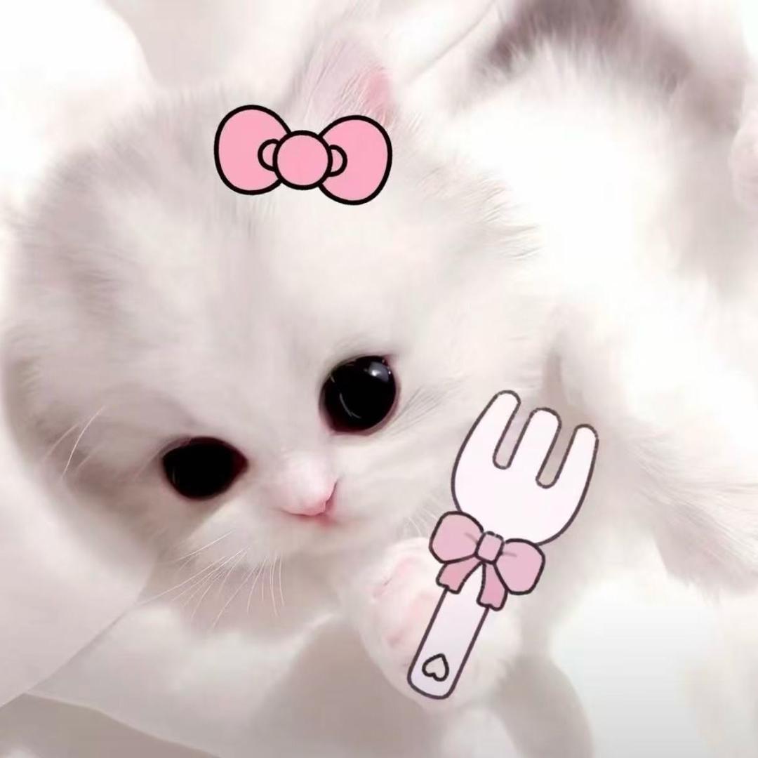 小y