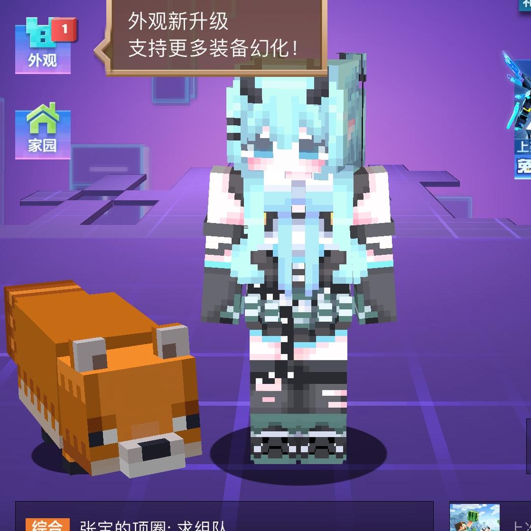 我的世界圆梦公主