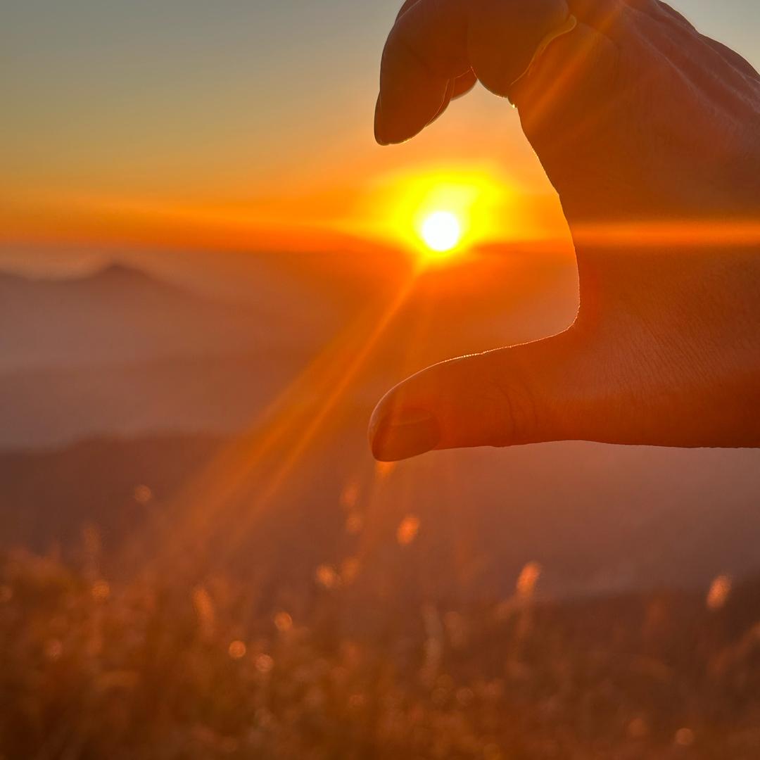 小凤《白衣天使》