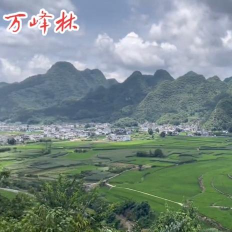 风中飞雪