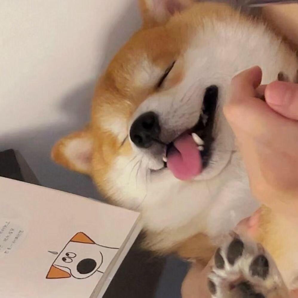 砂锅菜（林子饭店）