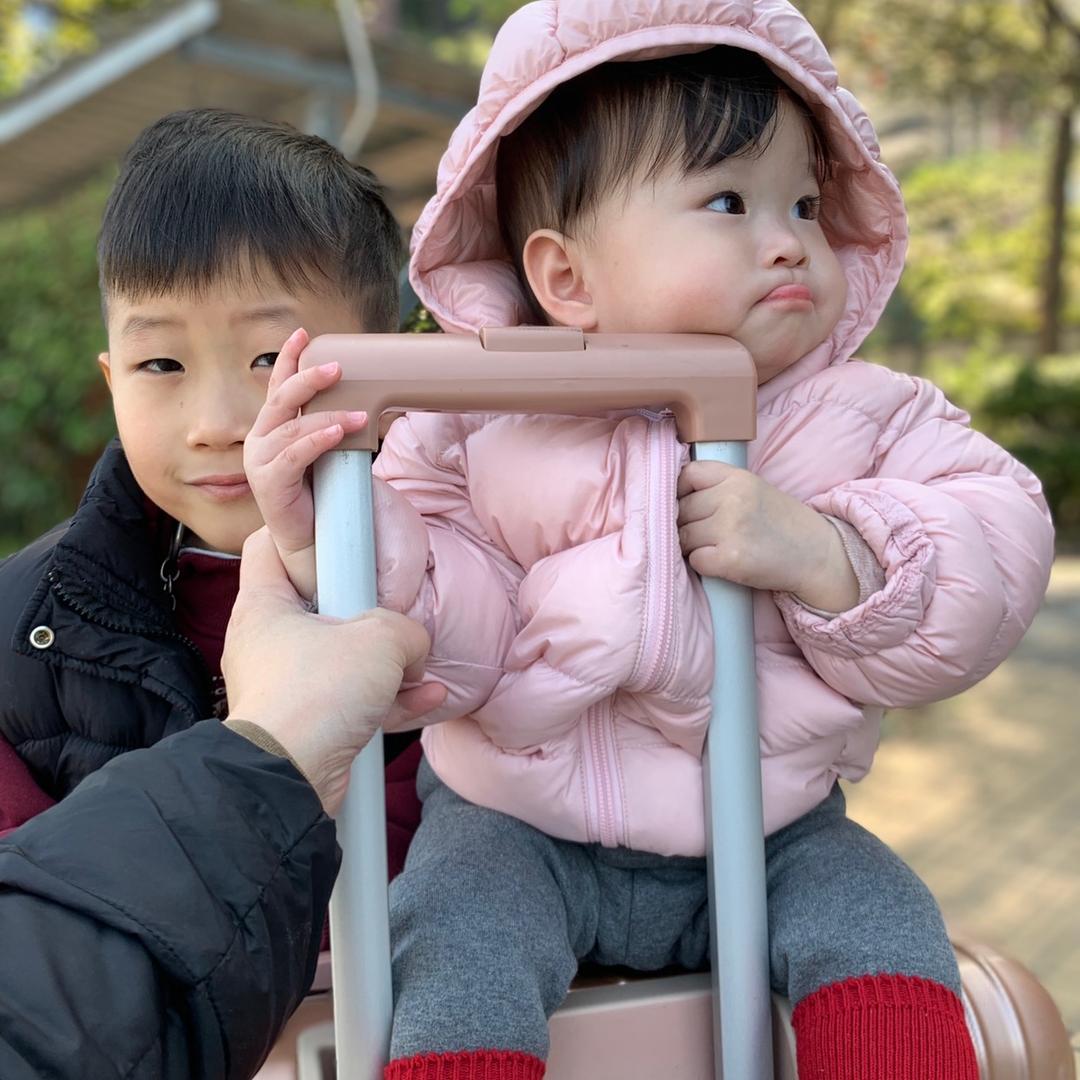 阿清有个猪猪妹🐷