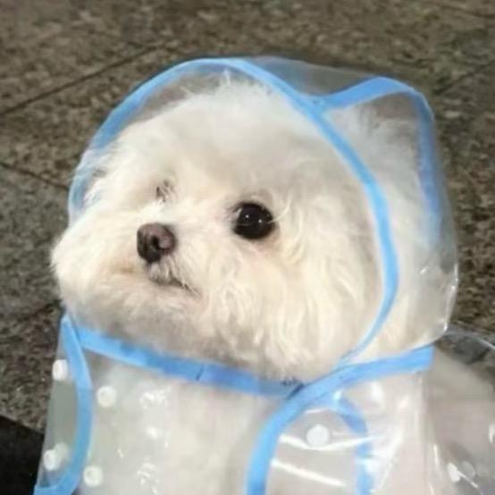 蛋泥泥酱