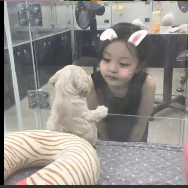 番薯小猫