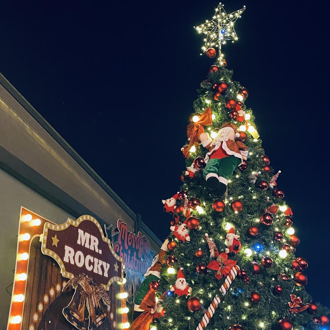 🧸可露露🎄🦖